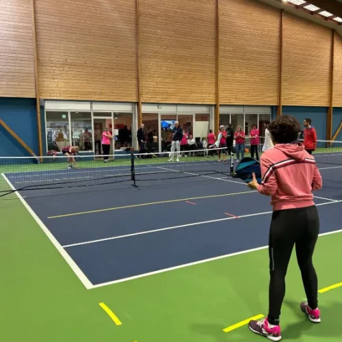  Animation Pickleball